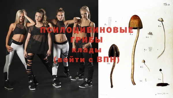 гашик Инсар