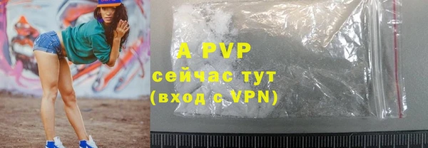 твердый Иннополис