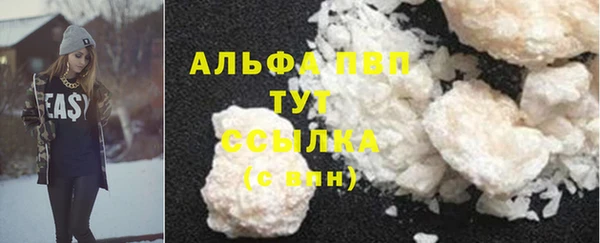 гашик Инсар