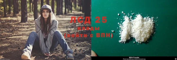 гашик Инсар