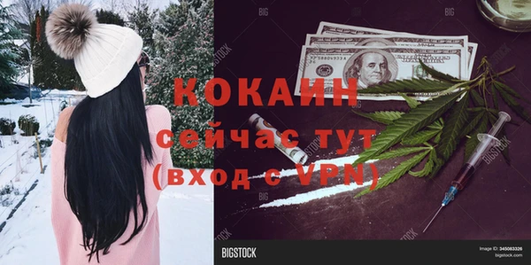 твердый Иннополис