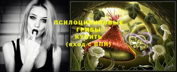 гашик Инсар