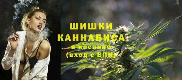 твердый Иннополис
