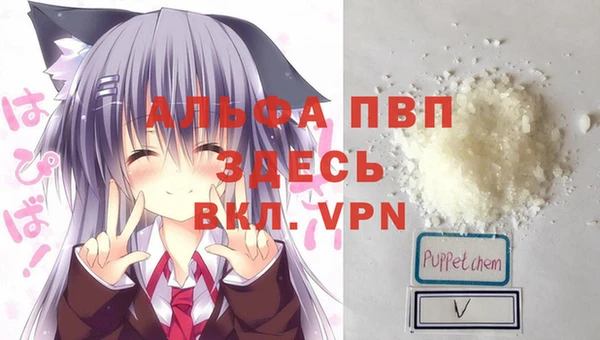 твердый Иннополис