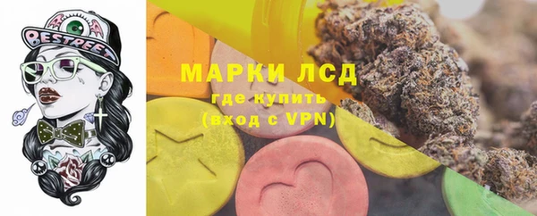 гашик Инсар