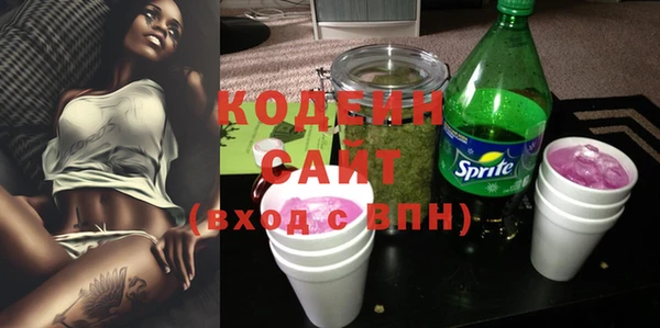 твердый Иннополис