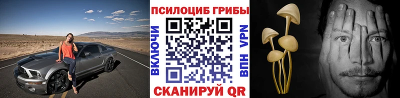 Галлюциногенные грибы MAGIC MUSHROOMS Купить закладки Николаевск